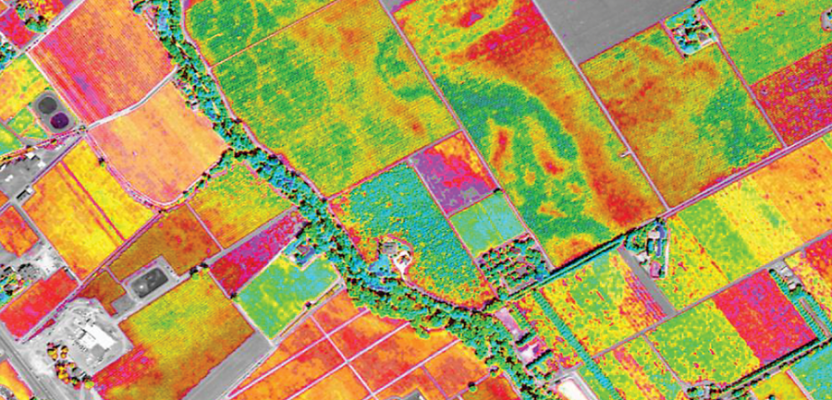 Satellite Captured Agricultural data